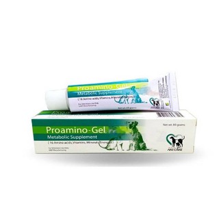 Proamino Gel (exp.04/24) วิตามินเจลอาหารเสริมร่างกายและภูมิคุ้มกัน ขนาด 80g