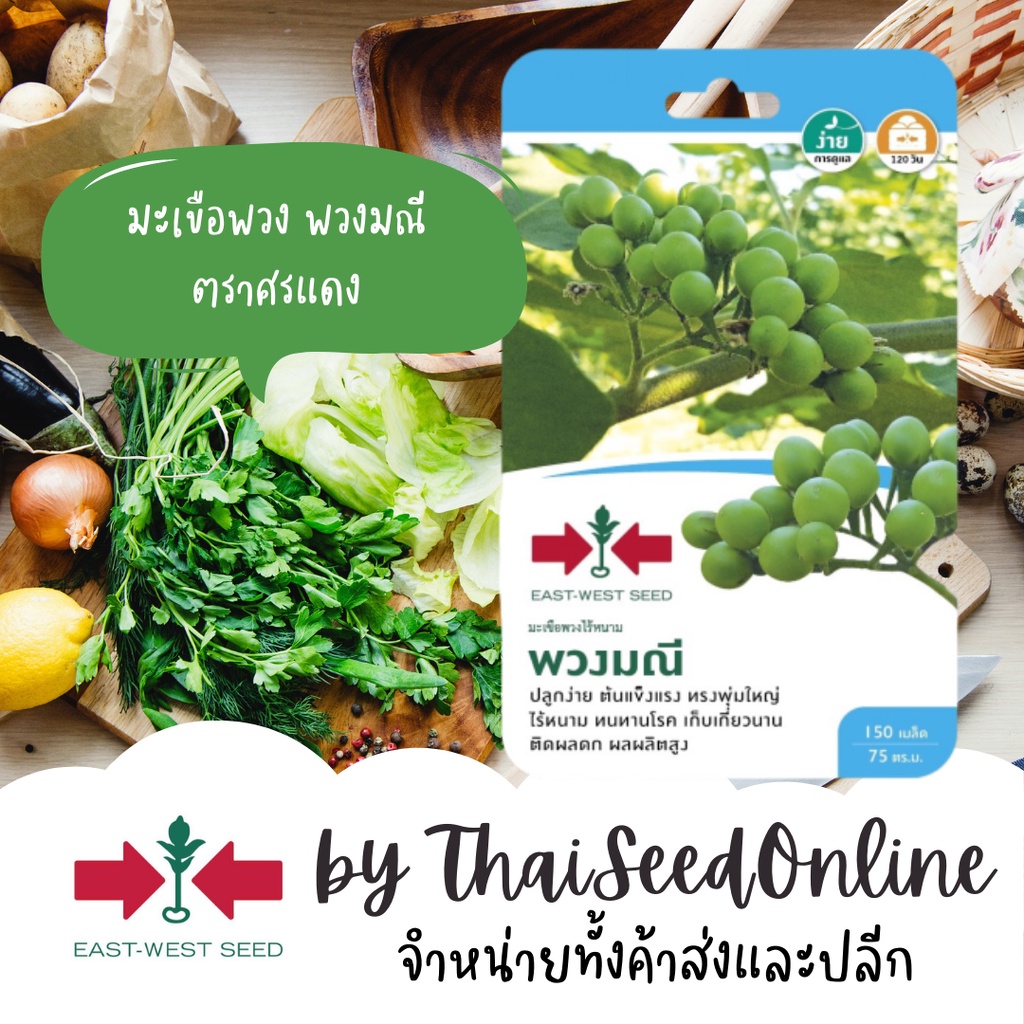 GGEW เมล็ดพันธุ์ซฟ มะเขือพวงไร้หนาม พวงมณี ตราศรแดง