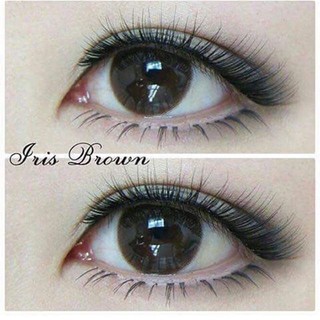 Iris Brown TATOTO Contact Lenses คอนแทคเลนส์ #33