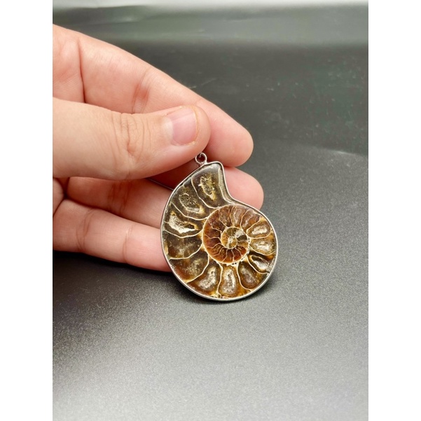 100% Natural Ammonite Fossil Silver Pendant /  Unique Design / Beautiful Ammonite Necklace Jewelry W