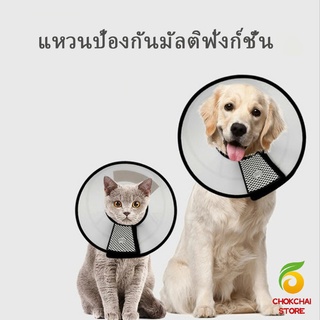 Chokchaistore ปลอกคอ ""คอลล่า"" กันเลียบาดแผล น้องหมา น้องแมว Pet collar