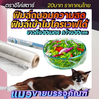 ฟิลม์ถนอมอาหาร ตราอีโค่ ฟิลม์ถนอมอาหาร ยาว 30เมตรหนา10ไมครอน