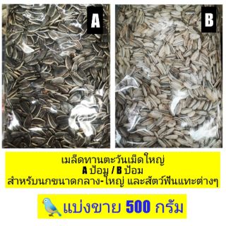 เมล็ดทานตะวัน A ป้อม/ B ป้อม เมล็ดใหญ่ สำหรับนกขนาดกลาง-ขนาดใหญ่ และสัตว์ฟันแทะ เช่น แฮมเตอร์ กระรอก กระต่าย (500กรัม)