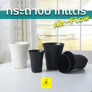 Airflow กระถางปากแตร 3.5 นิ้ว เพิ่มช่องระบายอากาศ  กระถางแคคตัส กระถางกระบองเพชร