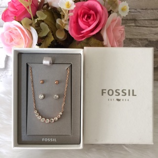 Fossil Set