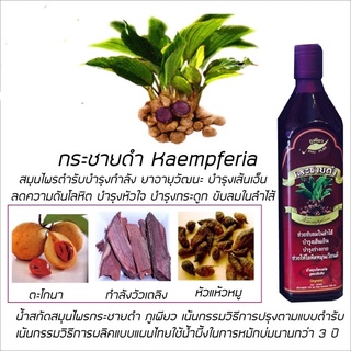 กระชายดำ  (Kaempferia) น้ำสกัดเข้มข้นกระชายดำ 730ml.