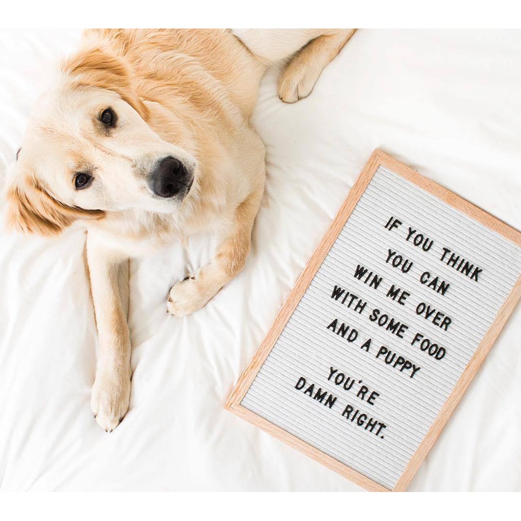 Letter Board กระดานเปลี่ยนตัวอักษร