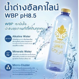 น้ำด่างอัลคาไลน์ WBP pH8.5