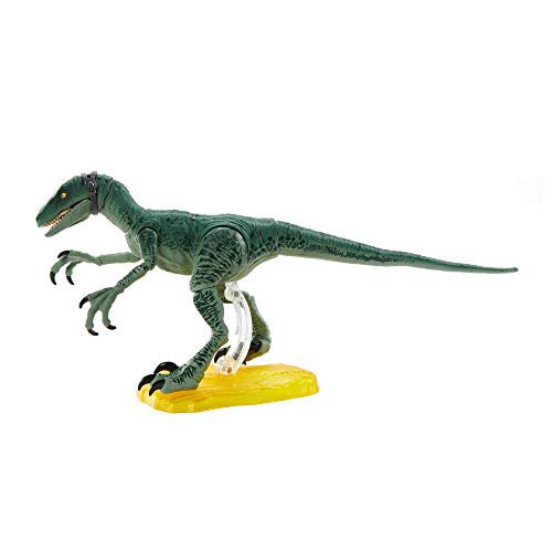 Jurassic World Amber Collection Velociraptor Delta Action ของเล่นแอ็กชั่นฟิกเกอร์ จูราสสิคเวิลด์ รุ่