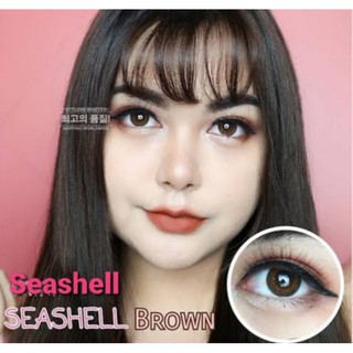 💟 Seeshell ( Seashell ) dia:14.5 Pitchylens Sweety Plus Wink -00 ถึง -1000 brown gray Contactlens บิ๊กอาย คอนแทคเลนส์