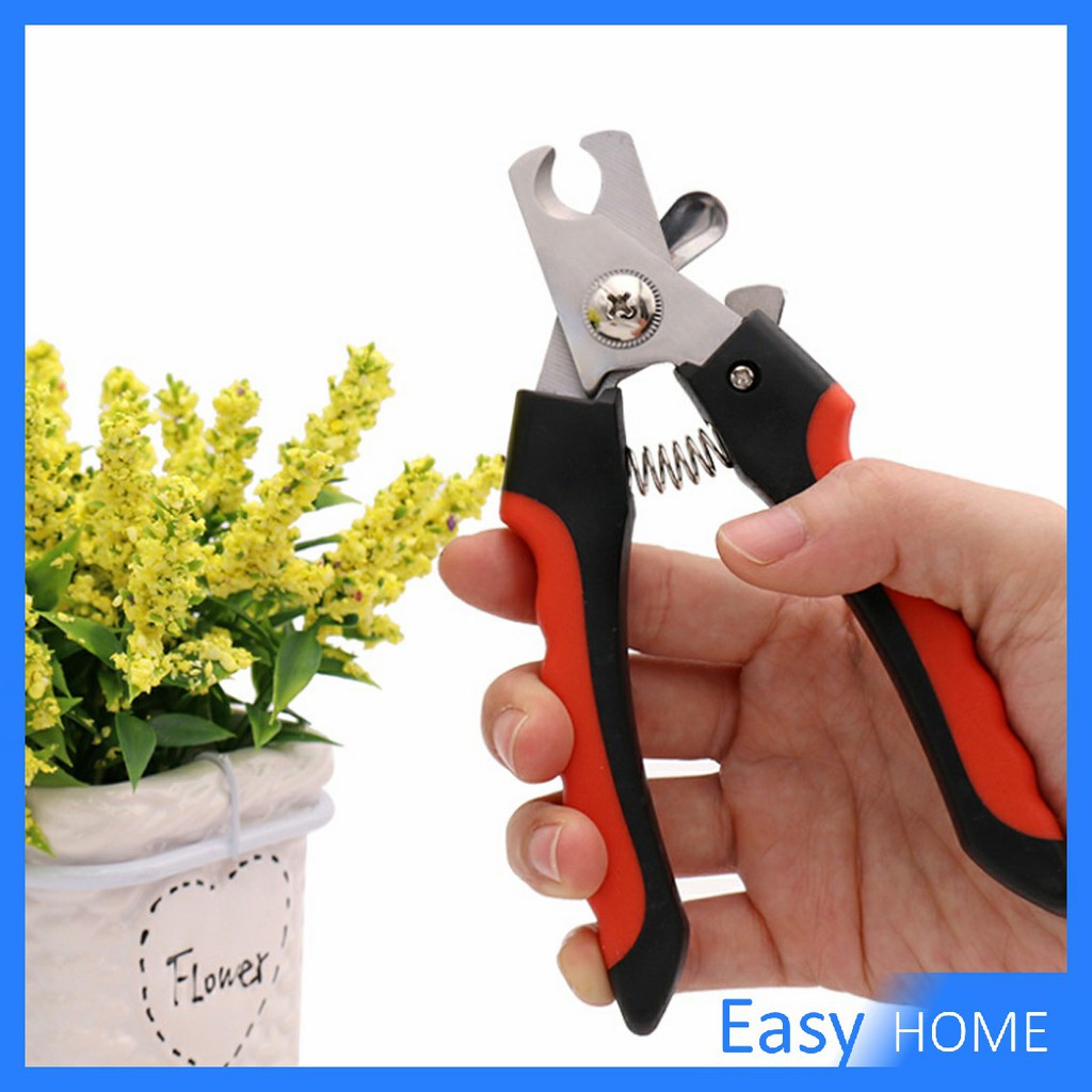 รูปภาพ 8