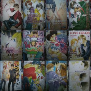 ALiar In Love การ์ตูนวายมือสอง