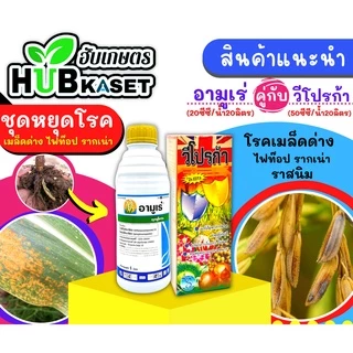 อามูเร่ 500ซีซี-1ลิตร (ไดฟีโนโคลนาโซล+โพรพิโคนาโซล) ป้องกันโรคเมล็ดด่างในนาข้าว