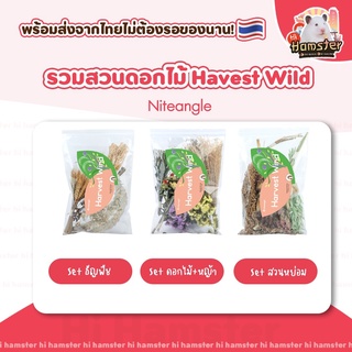 [Hi Hamster] พร้อมส่ง‼️ Harvest Wind Flexseed ธัญพืช มิลเล็ต รองกรง หญ้า Niteangle แอสเพน  สัตว์เลี้ยง แฮมสเตอร์