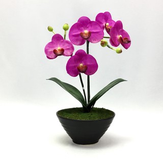 OrientalFineArt ดอกไม้ปลอม กล้วยไม้ปลอม phalaenopsis จัดในกระถางเซรามิค สำหรับประดับตกแต่งเพื่อความสวยงาม