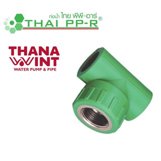 สามทางเกลียวใน PP-R ขนาด 20-32 mm ตราไทยพีพี-อาร์ (THAI PP-R)