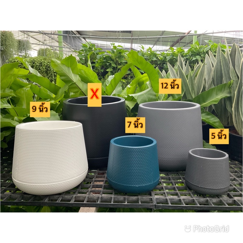 ‼️ถูก  และหนา‼️ กระถางต้นไม้เบลล่า  กระถางต้นไม้มินิมอล กระถางโมเดิร์น 7 นิ้ว - รูปที่ 2