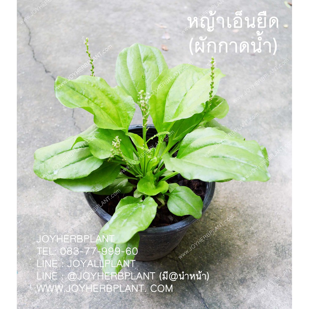 My Image 22