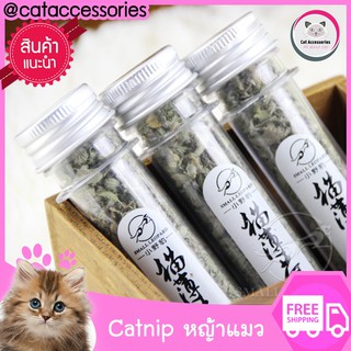 Cat Accessories Catnip หญ้าแมว ชนิดแห้ง ขนาด 40ml 3 หลอด