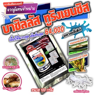 บีที เชื้อบีที มากที่สุด ในท้องตลาด นำเข้าจากอเมริกา  64,000 IU เซอร์แมท   Bacillus 100g. เชื้อ BT ชีวภัณฑ์กำจัดศตรูพืช