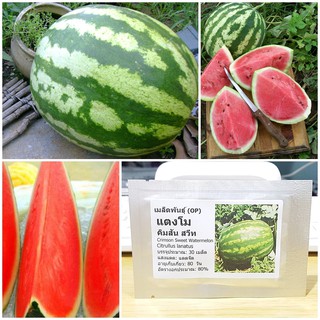 เมล็ดพันธุ์ แตงโมคิมสันสวีท (Crimson Sweet Watermelon Seed) บรรจุ 30 เมล็ด คุณภาพดี ของแท้ 100%