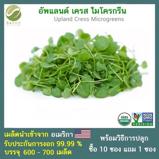 เมล็ด Upland Cress Microgreens จำนวน 600-700 เมล็ด