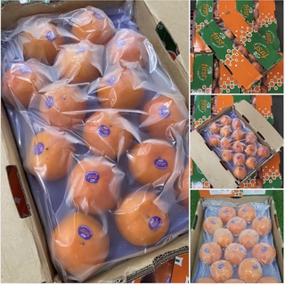 🍊พลับสด นิวซีแลนด์.#15 ลูก/กล่อง (ตรา First)