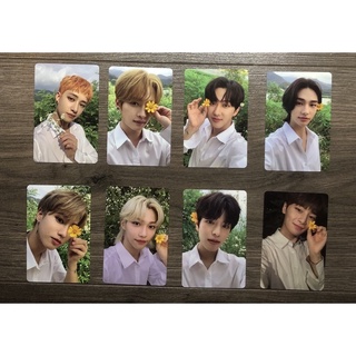 💢พร้อมส่ง Stray Kids - Photocard Set จาก อัลบั้ม NOEASY (ของแท้)