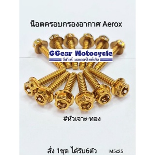 น็อตครอบกรองอากาศ aerox หัวเจาะ  น็อตเกลียวปล่อย น็อตเกลียวหยาบ น็อตเลส