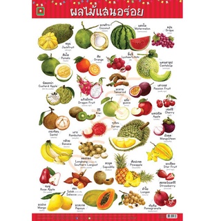 Aksara for kids โปสเตอร์ หุ้มพลาสติก ติดผนัง ลาย ผลไม้