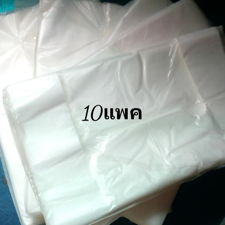ถุงขนาด 10นิ้ว x 10นิ้ว สำหรับใส่กล่องพิซซ่า10และ8นิ้ว Pizza bag ชุด10แพค