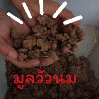 มูลไส้เดือนแท้100% ( หมักแบบPrecompost ) ผสมน้ำหมักจุลินทรีย์ ไม่ผสมดิน 850 กรัม
