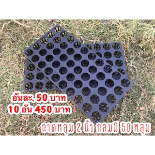 ราคาขายส่ง 10 ชิ้น ถาดหลุมกลม มี 50 หลุม