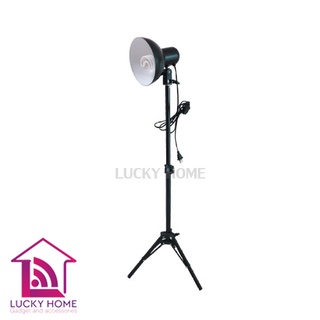 Light Stand 100cm with Lamp Holders ขาตั้งพร้อมหัวโคม สำหรับถ่ายสินค้า