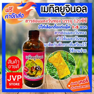 **ส่งฟรี**เมทิลยูจินอล บรรจุ 120ซีซี สารล่อแมลงวันทอง (Insect Lure) สารล่อแมลงวันทอง ทำให้แมลงวันทองมาติดกับดักกาว