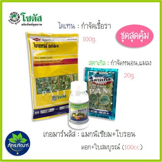 (สุดคุ้ม)ชุดยาสำหรับพืชสุดคุ้ม บำรุง ป้องกันแมลง ป้องกันเชื้อรา ไดเทน สตาร์เกิล เกอมาร์พลัส (โซตัส)