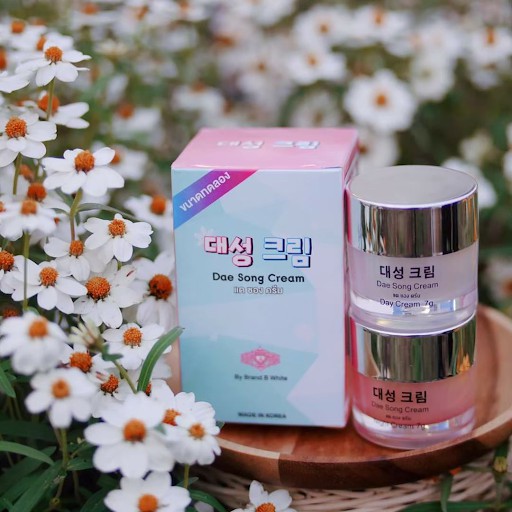 เซตครีม Dae Song Cream (ครีมกลางวัน+ครีมกลางคืน) Shopee Thailand