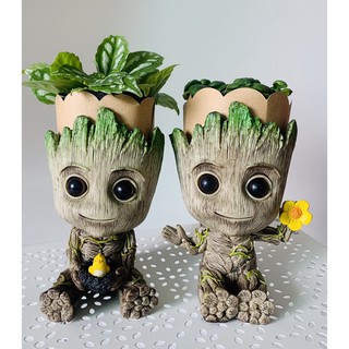 🌺พร้อมส่ง กระถางต้นไม้ Groot - Guardian of The Galaxy กรูท กระถาง