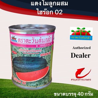 เมล็ดพันธุ์ แตงโมไฮร็อก-02 40g