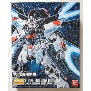 MG Strike freedom Gundam Z.A.F.T Mobile Suit ZGMF - X20A