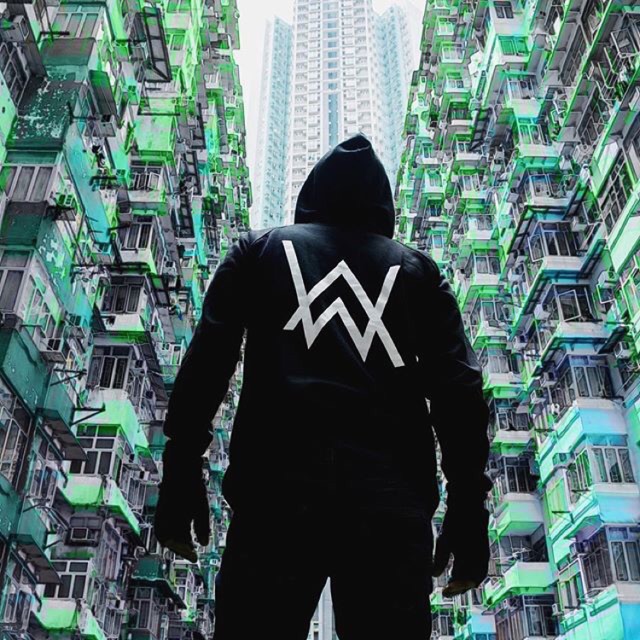 เสื้อฮู้ดมีซิป Thesilversky Alan Walker