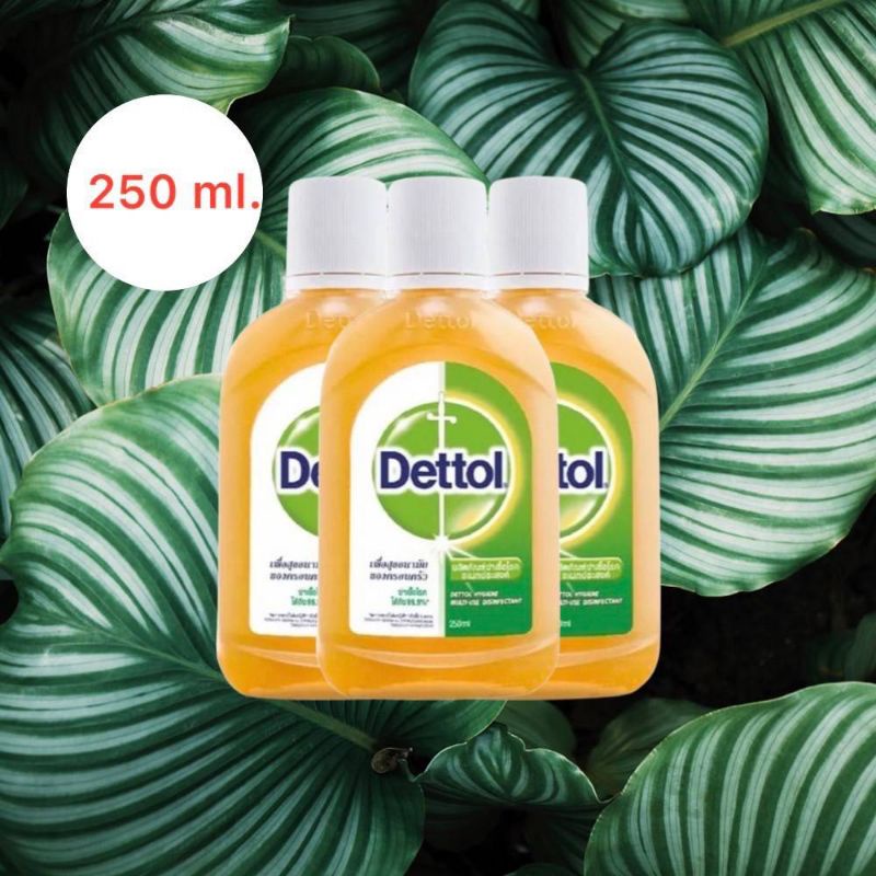 ผลิตภัณฑ์ฆ่าเชื้อโรคอเนกประสงค์ เดทตอล Dettol ขนาด 250 ml.