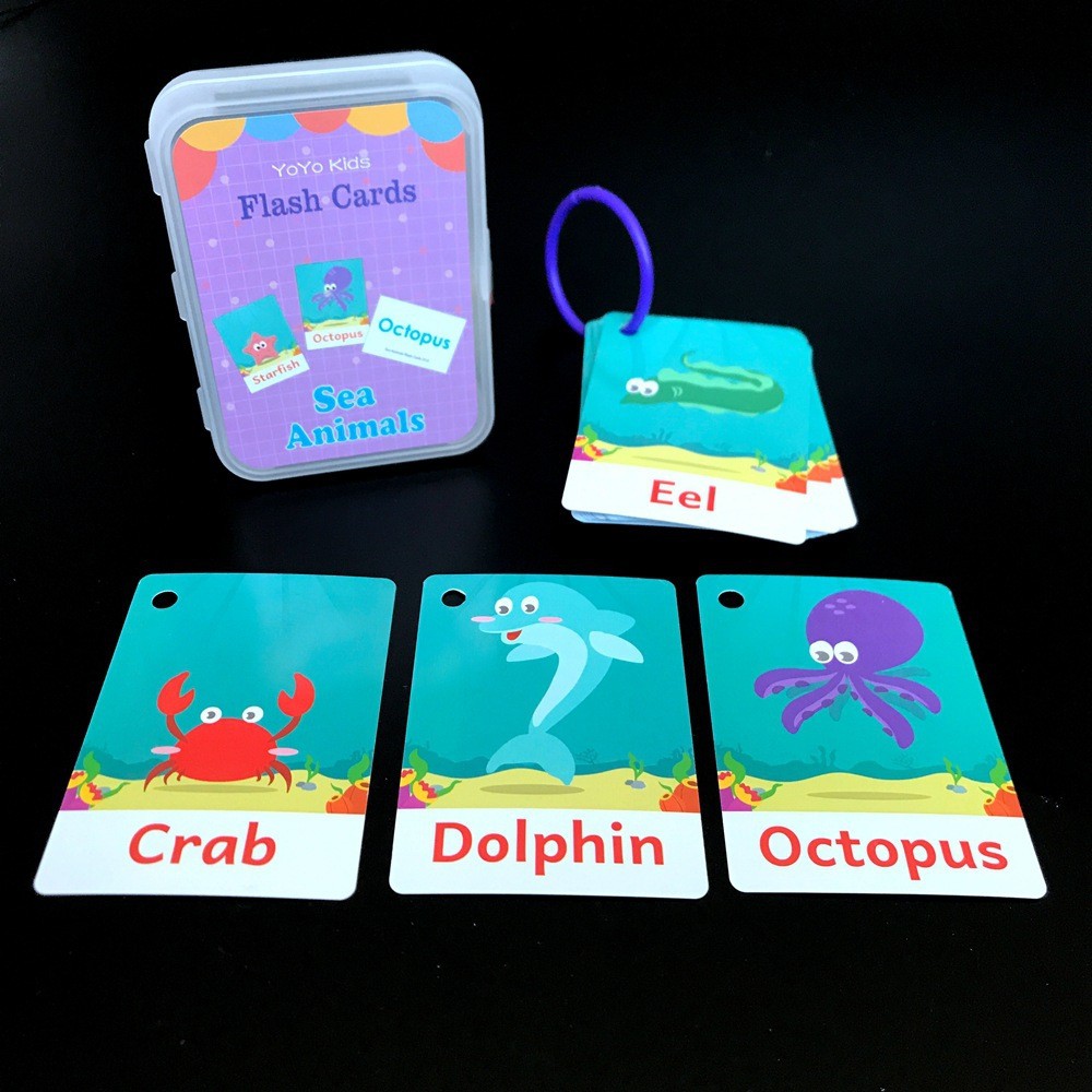 English Flash Card การ์ดคำศัพท์เพื่อการเรียนรู้ เสริมสร้างพัฒนาการเด็ก ...