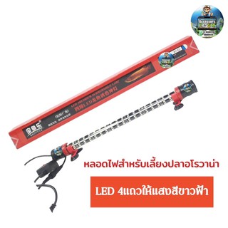 หลอดไฟใต้น้ำT10 LED4แถวเหมาะสำหรับเลี้ยงปลาอโรวาน่าและ ปลาสวยงามทุกชนิด (สีขาวฟ้า)