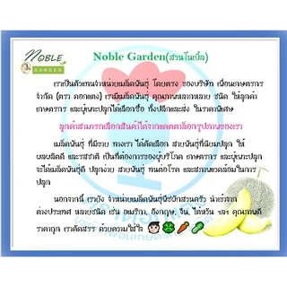 เมล็ดพันธุ์ เมล่อน กรีนเน็ต - Melon Green Net ตราดอกแตง เมล็ดพันธุ์ เมล็ดผัก คุณภาพ "เพื่อนเกษตรกร"