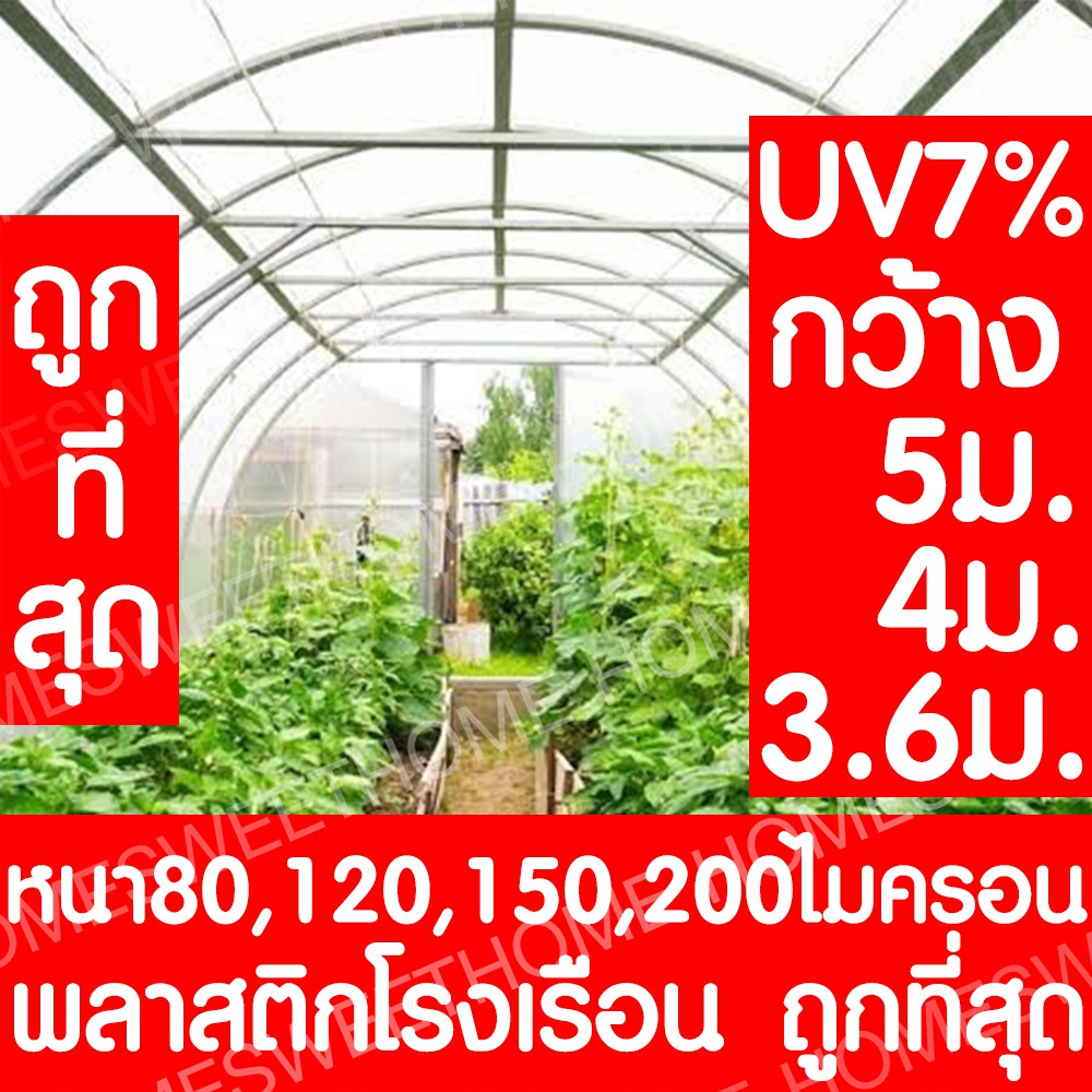 [โค้ดPSK49ลด25%] *ค่าส่งถูก* พลาสติกคลุมโรงเรือน greenhouse หน้ากว้าง 3.6 / 4 / 5เมตร หนา 80,120,150