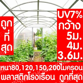 [โค้ดPSK49ลด25%] *ค่าส่งถูก* พลาสติกคลุมโรงเรือน greenhouse หน้ากว้าง 3.6 / 4 / 5เมตร หนา 80,120,150,200 ไมครอน