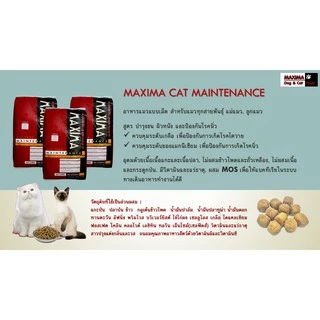 MAXIMA CAT MAINTENANCE 2 KG อาหารเม็ด เนื้อแกะ สำหรับแมว 2 กก. แถมฟรี อาหารเปียกแมวแม็กซิมา
