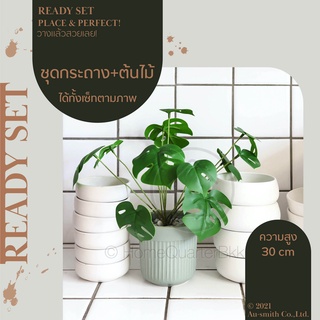 ทิปปาป้า ชุดกระถาง+ต้นไม้ พร้อมวางโชว์ สีเขียวอมเทา | Tippapa Set - Mint Green Pot