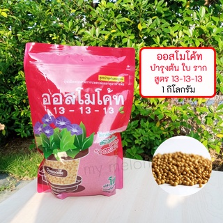 ปุ๋ยออสโมโค้ท สูตรเสมอ 13-13-13 บรรจุ 1 กิโลกรัม บำรุงต้น ราก ใบ